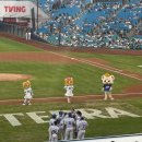 알통떡강정삼성라이온즈파크점 | 라팍 먹거리, 블루존 3-1구역 20열 시야 삼성라이온즈파크 전설로 주차장 주차