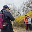 3월25일 행복걷기 홍매화, 서울숲걷기(승승장구대장님안내) 이미지