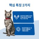 헤어힐스 - 전주시 덕진구 | 헤어힐스