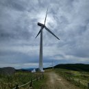 대관령가축인공수정소 | 대관령 하늘 목장 후기 (트랙터 마차, 먹이 주기, 풍차 전망대)