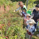 뉴한가람어린이집 이미지