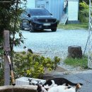 다온팜 | 부산 강서구 다온나루 한옥카페 건축디자인상과 부산 돌잡이 로스터리 카페