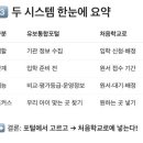 예솔유치원 | 2025 유보통합포털·처음학교로 완전 이해! 입학 준비 A to Z _ 한부모 지원 + 판교·분당 추천 기관...