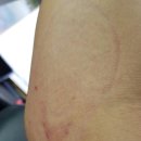 임제당한의원 이미지