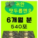 내몸에 건강이야기 | 당뇨·고혈압·관절염을 동시에 관리한 이유 | 혈관 건강 이야기