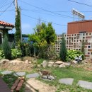 롯데마트사거리(전자랜드앞 교통섬) | 국내 패키지 장단점,후기 강원도 고성 가볼만한곳 (내돈내산)