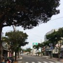 눈큰새우게스트하우스 이미지