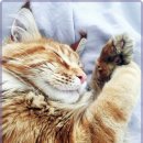 온마음동물병원 이미지