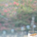 카페더마을