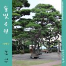 솔빛공원 1 이미지