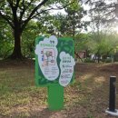 상남동 어린이공원 이미지