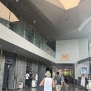 M호텔 | 베트남 다낭 미케비치 앞 신축호텔 ‘다낭 M호텔’ 후기 (+시티뷰 객실, 수영장, 조식)