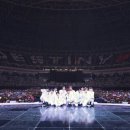 뚱시 이미지