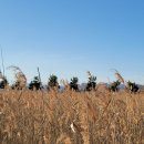 줄포만갯벌생태공원 이미지