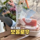 월정 | 월정리 맛집 보울로우 : 월정해변 피크닉 브런치 포장 후기