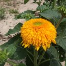 연세 행정사 사무소 이미지