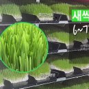 사회적협동조합보리 이미지