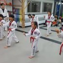 용인대 한울 태권도 이미지