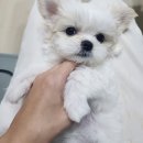 브리더하우스 이미지