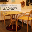 레몬트리 이미지