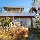 제제게스트하우스 이미지