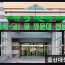 대성종합마트 | 재수학원 울산대성학원 맞춤 지도로 차별화된 학습