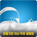 우유 : 유통기한 지난 우유 활용법 / 이제는 버리지 마세요 이미지