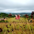 화양근린공원 이미지