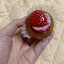 녹태원