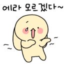 스테이 다래 이미지