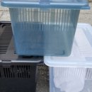 렙타일케이지 이미지