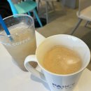 해달새 그리고 나무 이미지