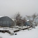 해전농장 이미지