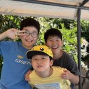 경희대 연호 태권도 이미지