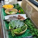 착한돼지 이미지