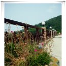 바다협주곡펜션 이미지