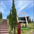 전주원동초등학교 | 전주 디오니 카페 후기 (위스키 양주 와인 가격 디오니스토어 호남주류)