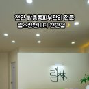 림스킨앤바디