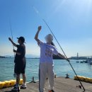 순천행동우체국 화장실 | 광양 망덕포구 낚시 후기 순천 근처 무료 낚시터 감성돔 득템 전기차 충전소 팁