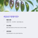 복숭아 잎이 떨어지고 있다면, 구멍병일 확률 높습니다