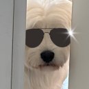ㄴㄴ