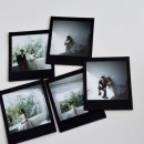 (주)세이브올 | 청주 올댓웨딩라라 라크마 촬영 후기🤍