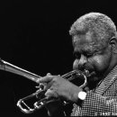 비밥 카카오 검색결과