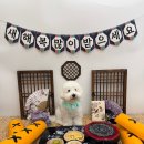 글로리 애견 유치원 이미지