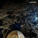 열린캠핑장 네이버블로그