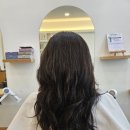 더 미쁘다 이미지