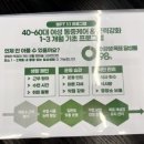 범피티 이미지