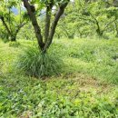 수관농장 이미지