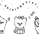 샤이닝포인트