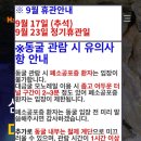 태백 삼척 가을여행 가볼만한 곳 ‘대금굴‘ 후기